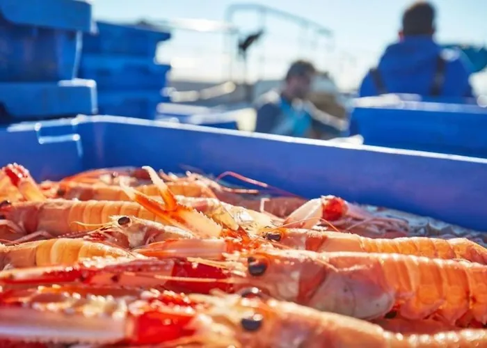 Global Immo 5055 Rubens 9 Roses